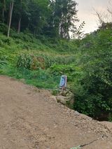 팜모닝 8월 내 작물 자랑하기·참여글 게시글 이미지