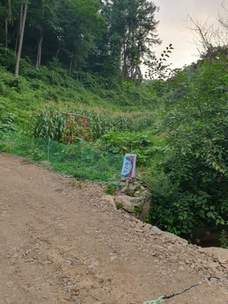 이상준님의 8월 내 작물 자랑하기 · 참여글 작성글 사진