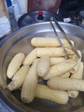 이상준님의 8월 내 작물 자랑하기 · 참여글 작성글 사진