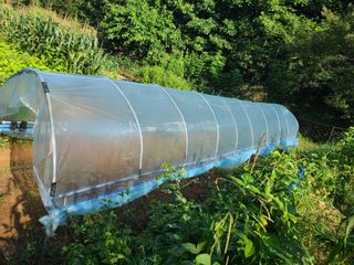 김효중 님의 8월 내 작물 자랑하기 · 참여글 작성글 사진