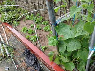 알 수 없음님의 우리동네 · 동네수다 작성글 사진