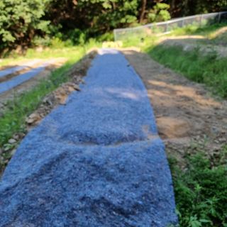 이종권님의 8월 내 작물 자랑하기 · 참여글 작성글 사진