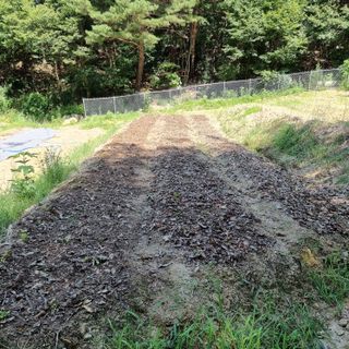 이종권님의 8월 내 작물 자랑하기 · 참여글 작성글 사진