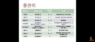 하얀찔레꽃님의 8월 내 작물 자랑하기 · 참여글 작성글 사진