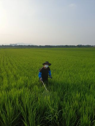하얀찔레꽃님의 8월 내 작물 자랑하기 · 참여글 작성글 사진