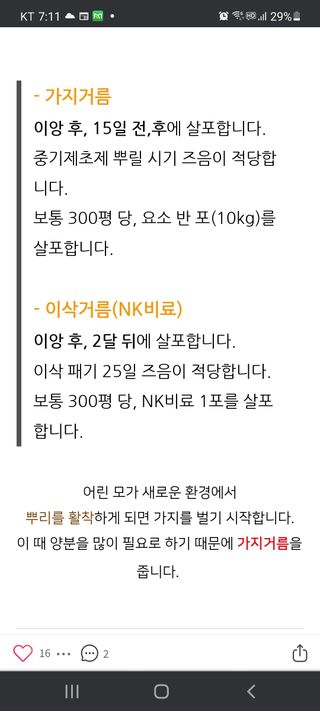 하얀찔레꽃님의 8월 내 작물 자랑하기 · 참여글 작성글 사진