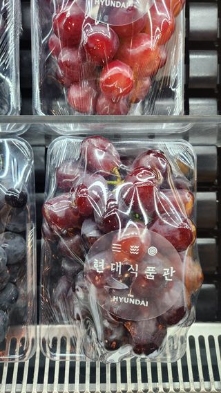 도기백님의 8월 내 작물 자랑하기 · 참여글 작성글 사진