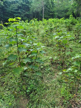 산솔바람님의 작성글 사진