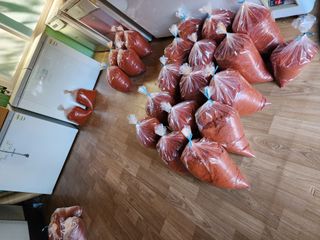 정 미라님의 8월 내 작물 자랑하기 · 참여글 작성글 사진