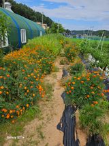 팜모닝 자유주제·자유게시판 게시글 이미지