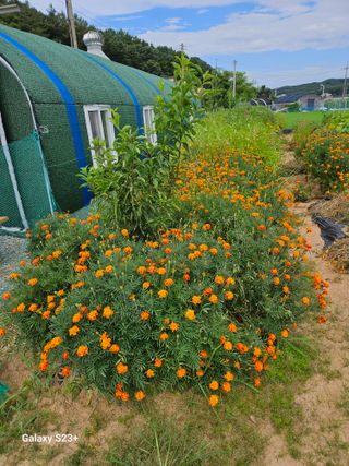 류승원님의 자유주제 · 자유게시판 작성글 사진