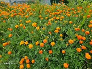 류승원님의 자유주제 · 자유게시판 작성글 사진