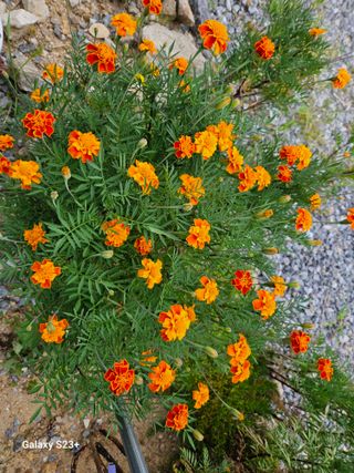 류승원님의 자유주제 · 자유게시판 작성글 사진