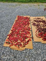 팜모닝 8월 내 작물 자랑하기·참여글 게시글 이미지