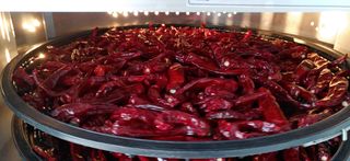 달맛햇복숭아농원님의 고추 · 저장•가공 작성글 사진