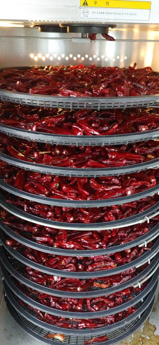 달맛햇복숭아농원님의 고추 · 저장•가공 작성글 사진
