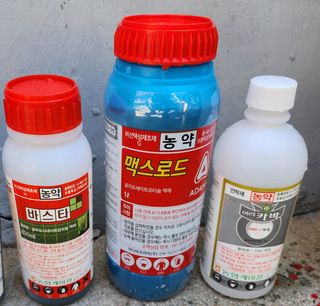 경규찬님의 8월 내 작물 자랑하기 · 참여글 작성글 사진