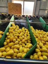 팜모닝 8월 내 작물 자랑하기·참여글 게시글 이미지