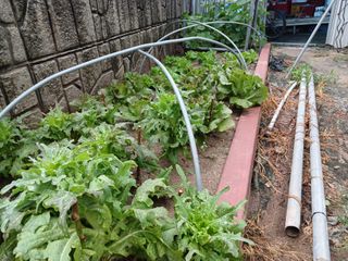 알 수 없음님의 우리동네 · 동네수다 작성글 사진