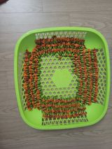 팜모닝 자유주제·자유게시판 게시글 이미지