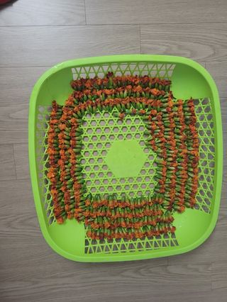 류승원님의 자유주제 · 자유게시판 작성글 사진