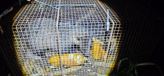 귀향인님의 자유주제 · 사진전 작성글 사진