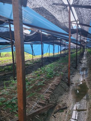 심상진님의 자유주제 · 자유게시판 작성글 사진