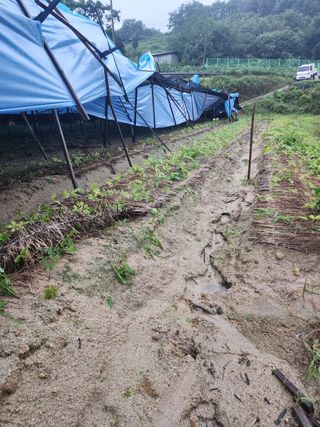 심상진님의 자유주제 · 자유게시판 작성글 사진
