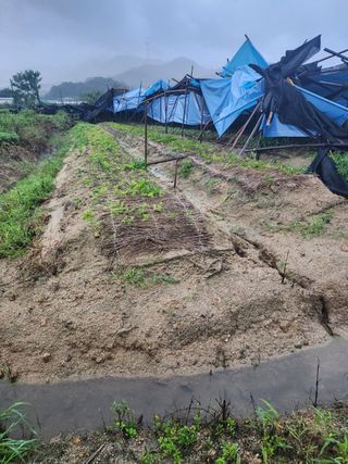 심상진님의 자유주제 · 자유게시판 작성글 사진