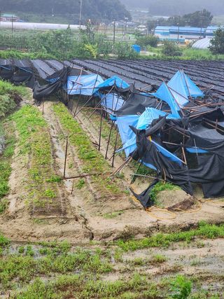심상진님의 자유주제 · 자유게시판 작성글 사진