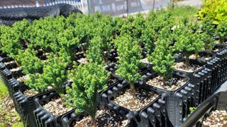 이선미님의 8월 내 작물 자랑하기 · 참여글 작성글 사진