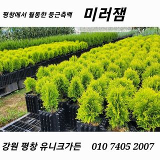 이선미님의 8월 내 작물 자랑하기 · 참여글 작성글 사진