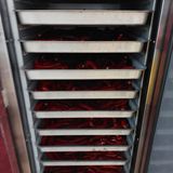 팜모닝 고추·수확 게시글 이미지