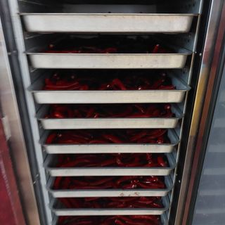 강원도 횡성군님의 고추 · 수확 작성글 사진