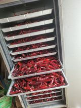 팜모닝 고추·수확 게시글 이미지