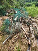 팜모닝 8월 내 작물 자랑하기·참여글 게시글 이미지