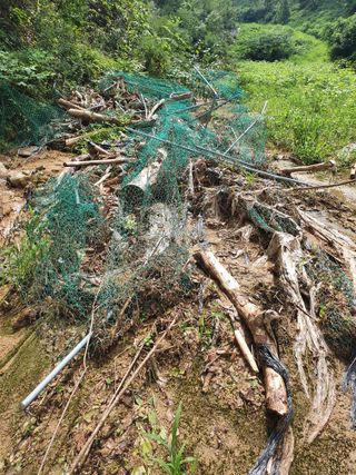 김서운님의 8월 내 작물 자랑하기 · 참여글 작성글 사진
