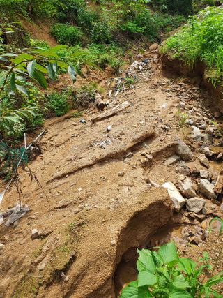 김서운님의 8월 내 작물 자랑하기 · 참여글 작성글 사진