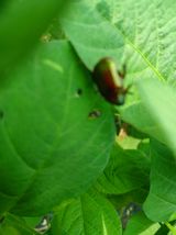 팜모닝 태풍 정보 공유해요·참여글 게시글 이미지