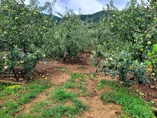 산신님의 태풍 정보 공유해요 · 참여글 작성글 사진