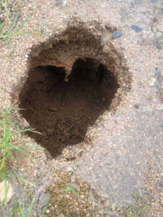 김전무님의 태풍 정보 공유해요 · 참여글 작성글 사진