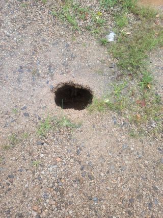 김전무님의 태풍 정보 공유해요 · 참여글 작성글 사진