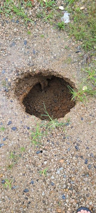 김전무님의 태풍 정보 공유해요 · 참여글 작성글 사진