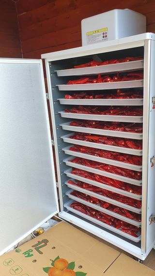 참방개님의 8월 내 작물 자랑하기 · 참여글 작성글 사진