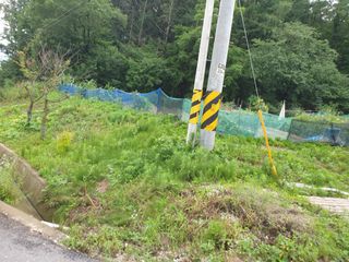 0102274435님의 8월 내 작물 자랑하기 · 참여글 작성글 사진