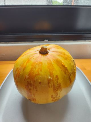 hbs7024님의 호박 · 자유게시판 작성글 사진