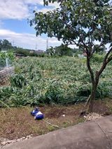 팜모닝 태풍 정보 공유해요·참여글 게시글 이미지