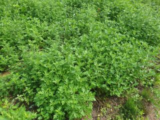 지대식님의 자유주제 · 자유게시판 작성글 사진