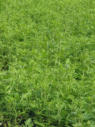 지대식님의 자유주제 · 자유게시판 작성글 사진