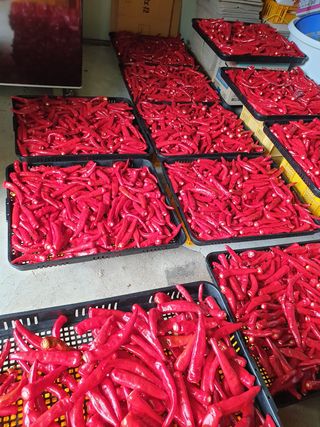 양파5749님의 자유주제 · 자유게시판 작성글 사진